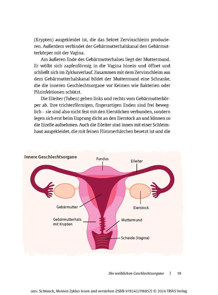 Weitere Ansicht: Meinen Zyklus lesen und verstehen | Anne Schmuck