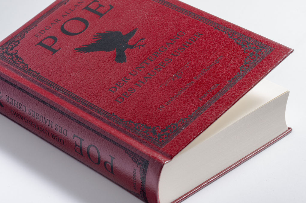 Weitere Ansicht: Der Untergang des Hauses Usher. 19 unheimliche Erzählungen | Edgar Allan Poe