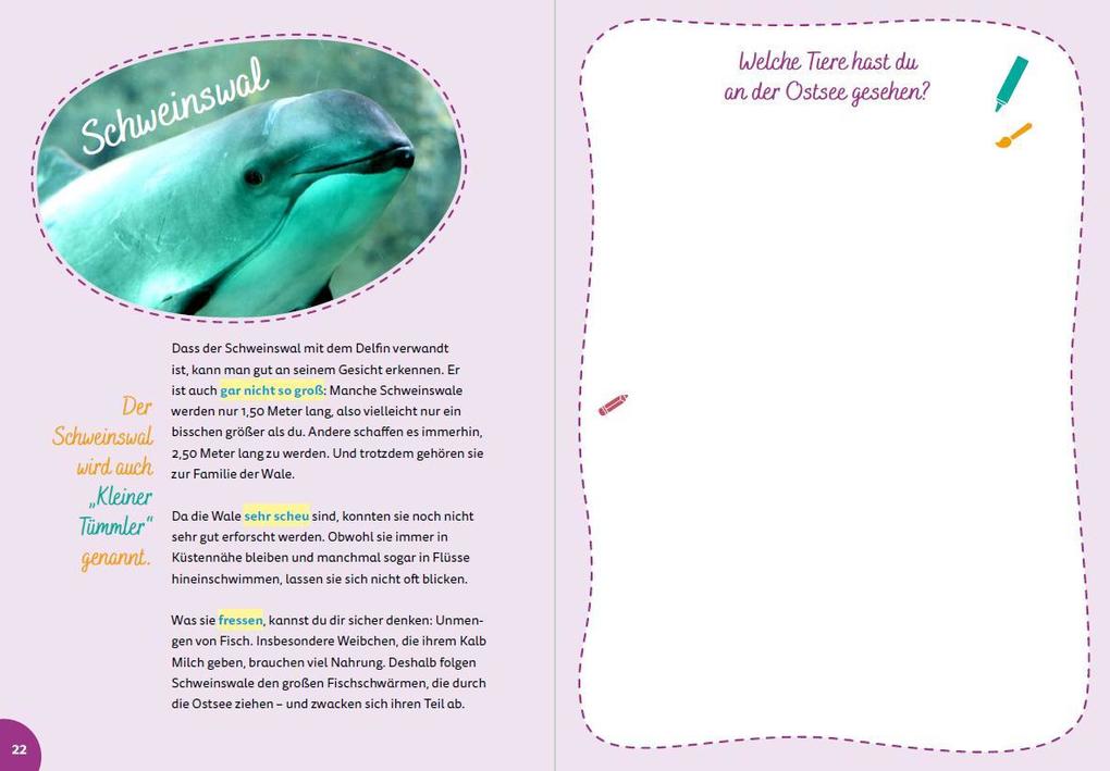 Weitere Ansicht: Ostsee for kids | Britta Schmidt von Groeling