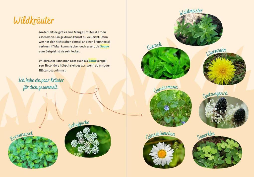 Weitere Ansicht: Ostsee for kids | Britta Schmidt von Groeling