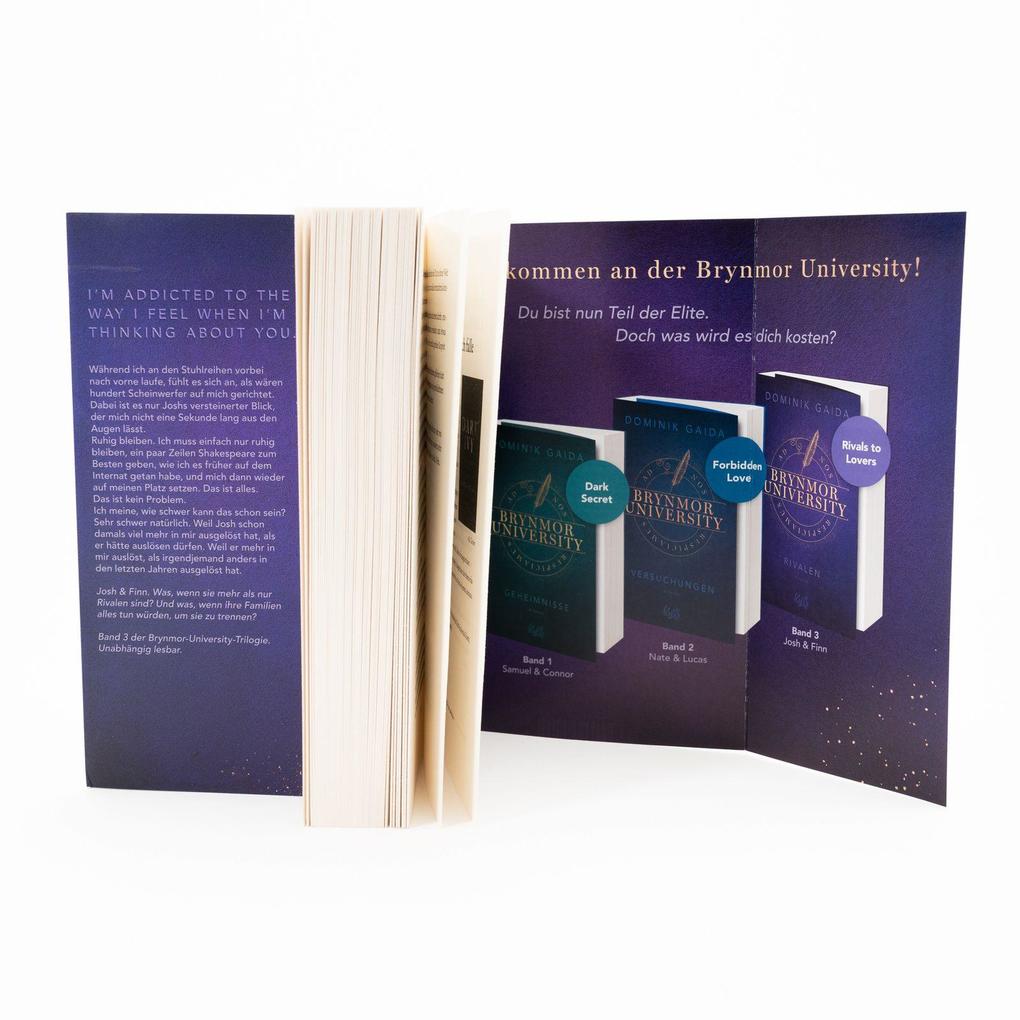 Weitere Ansicht: Brynmor University - Rivalen | Dominik Gaida