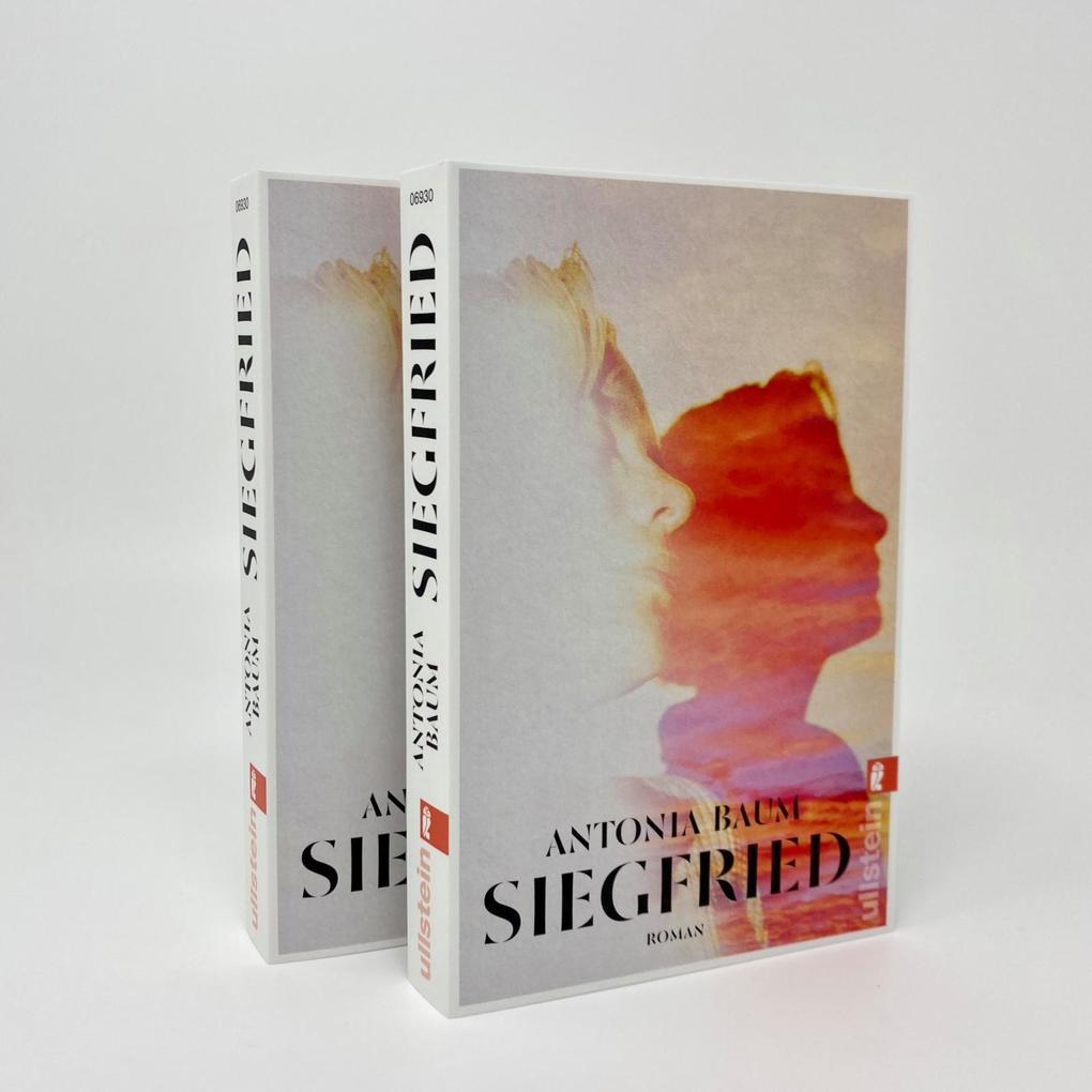 Weitere Ansicht: Siegfried | Antonia Baum