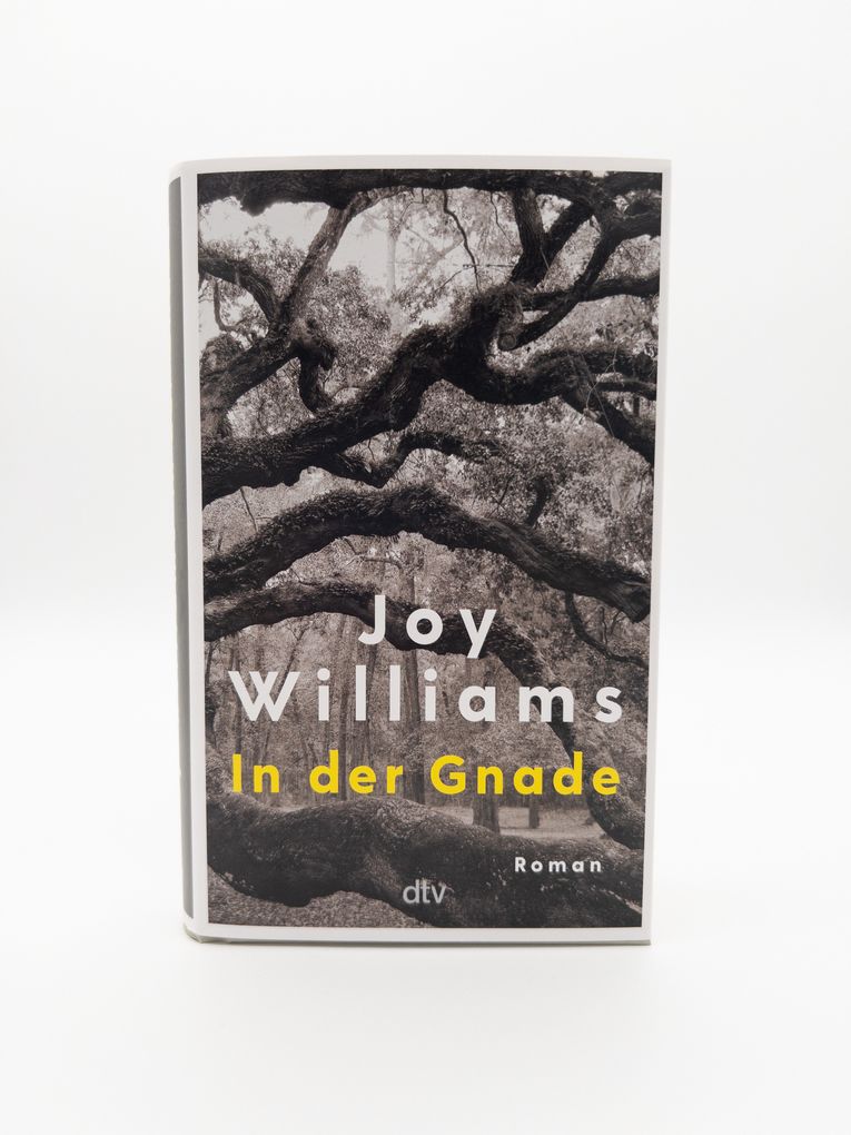 Weitere Ansicht: In der Gnade | Joy Williams