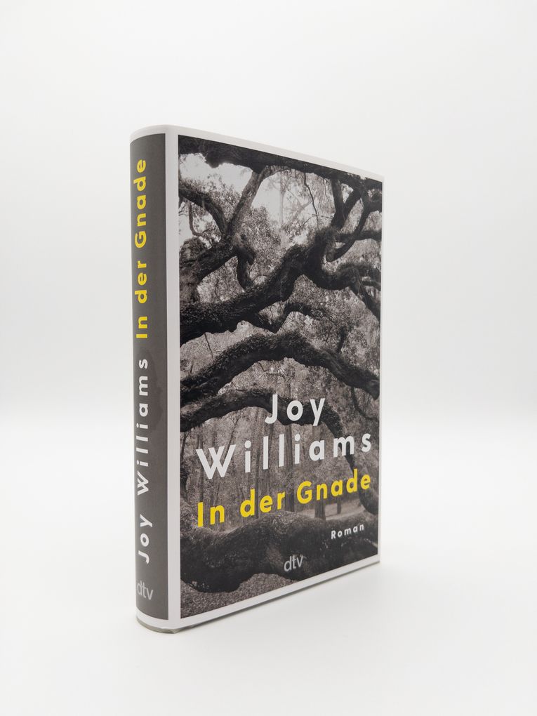 Weitere Ansicht: In der Gnade | Joy Williams
