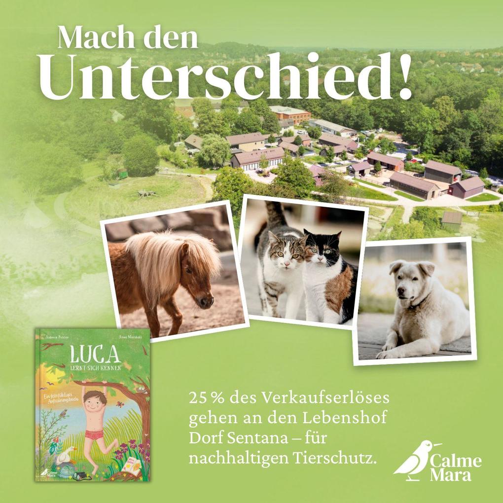 Weitere Ansicht: Luca lernt sich kennen | Antonia Pichler