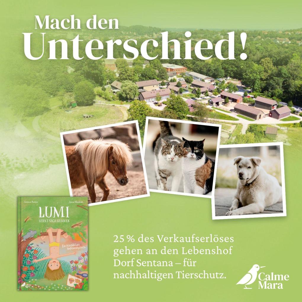 Weitere Ansicht: Lumi lernt sich kennen | Antonia Pichler