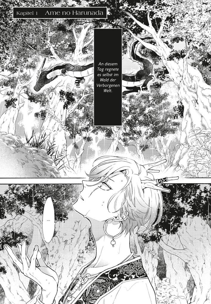 Weitere Ansicht: Drachenregen | Sakuhiro