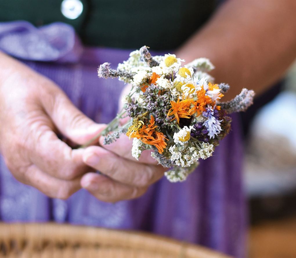 Weitere Ansicht: Floramour: Wildblumen | Anja Klaffenbach