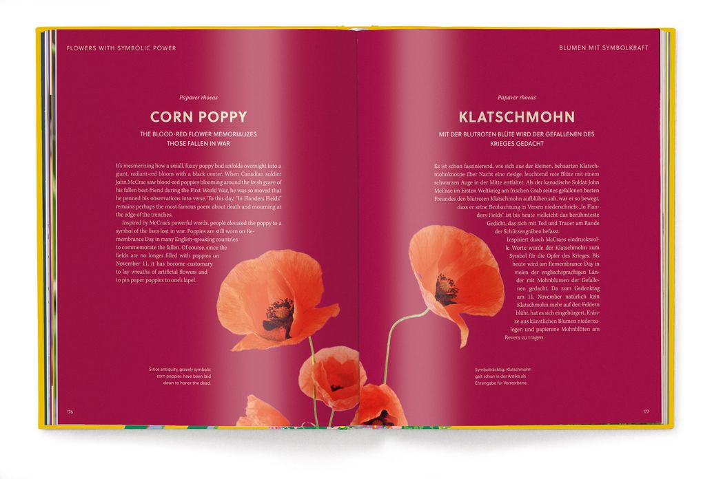 Weitere Ansicht: Floramour: Wildblumen | Anja Klaffenbach