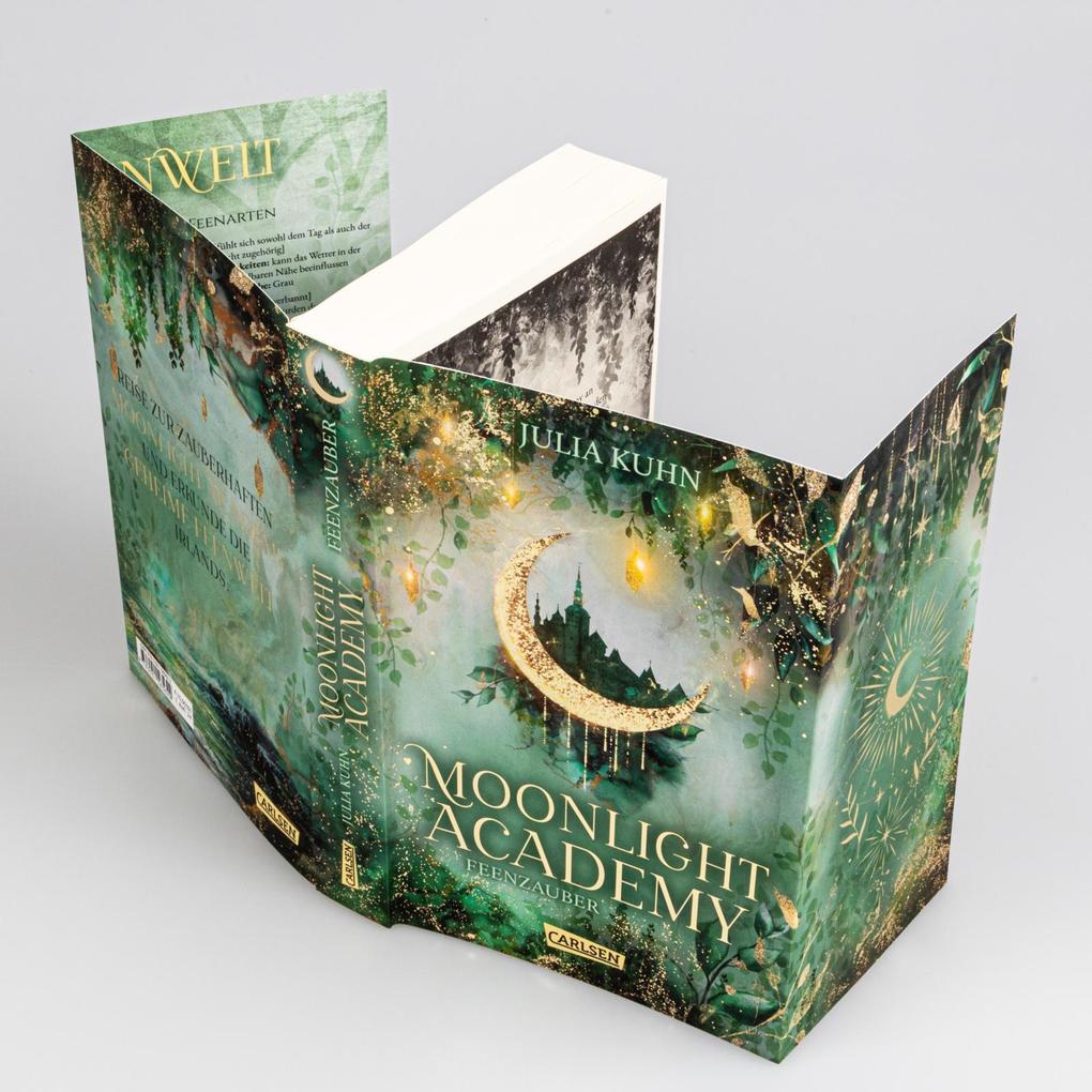 Weitere Ansicht: Moonlight Academy. Feenzauber | Julia Kuhn