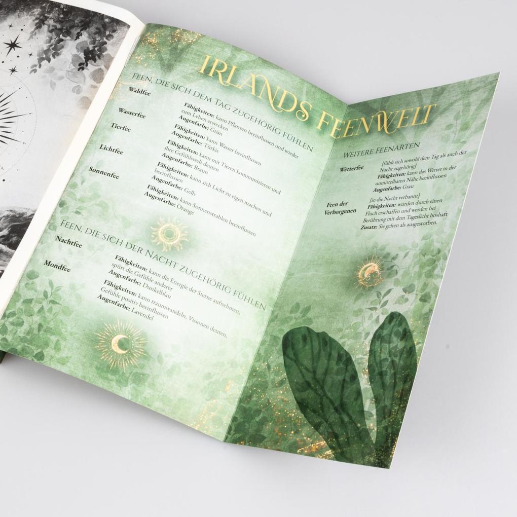 Weitere Ansicht: Moonlight Academy. Feenzauber | Julia Kuhn