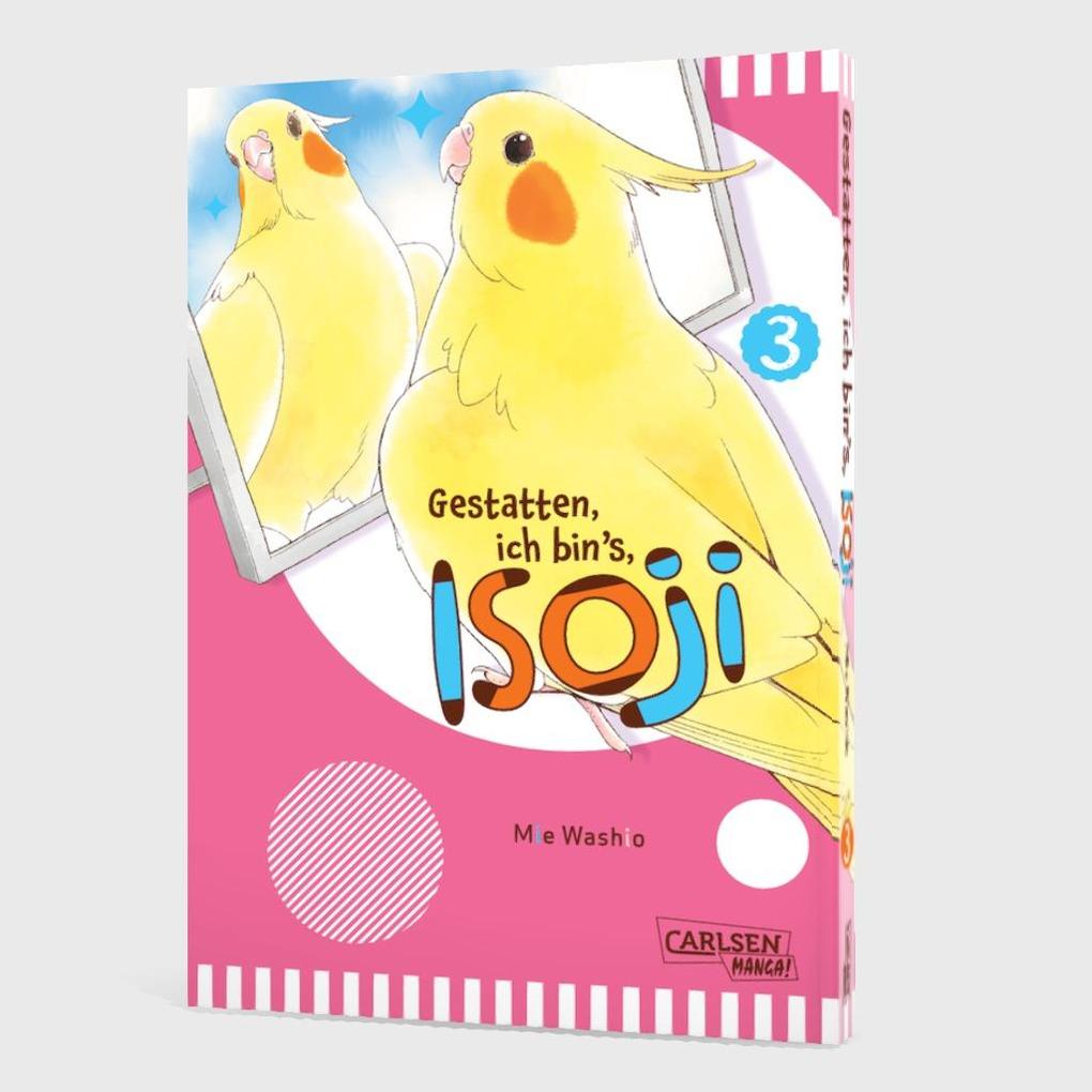 Weitere Ansicht: Gestatten, ich bin's, Isoji! 3 | Mie Washio