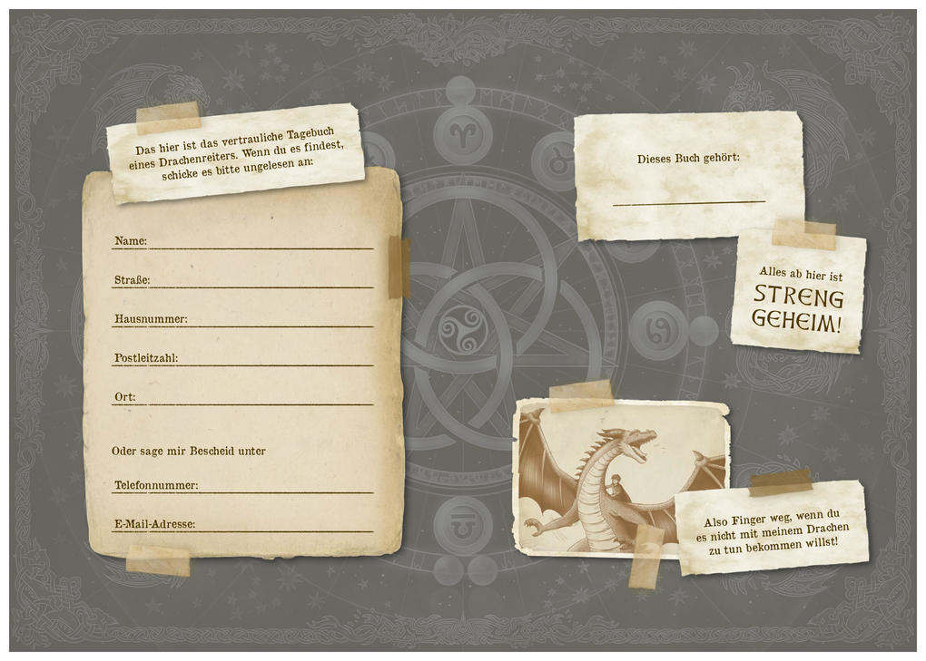 Weitere Ansicht: Die geheime Drachenschule - Mein Tagebuch | Emily Skye