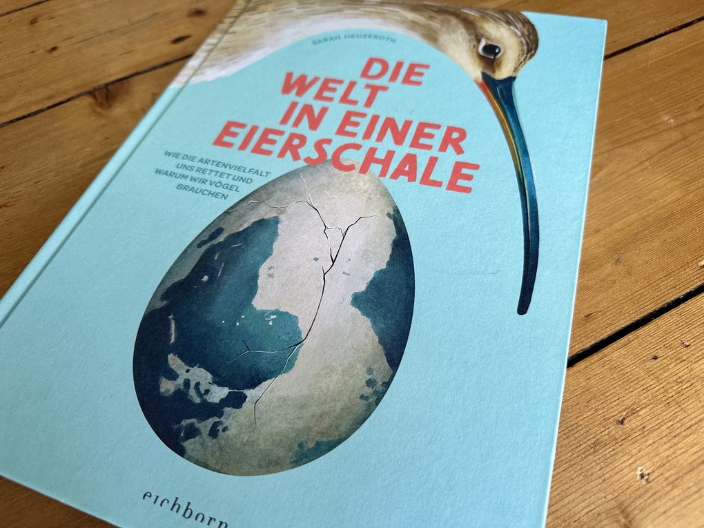Weitere Ansicht: Die Welt in einer Eierschale | Sarah Heuzeroth
