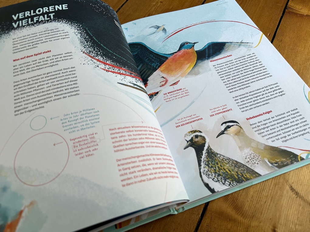 Weitere Ansicht: Die Welt in einer Eierschale | Sarah Heuzeroth