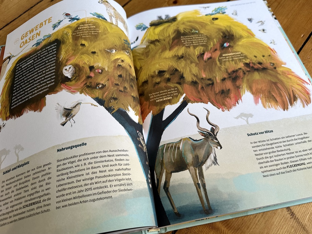 Weitere Ansicht: Die Welt in einer Eierschale | Sarah Heuzeroth