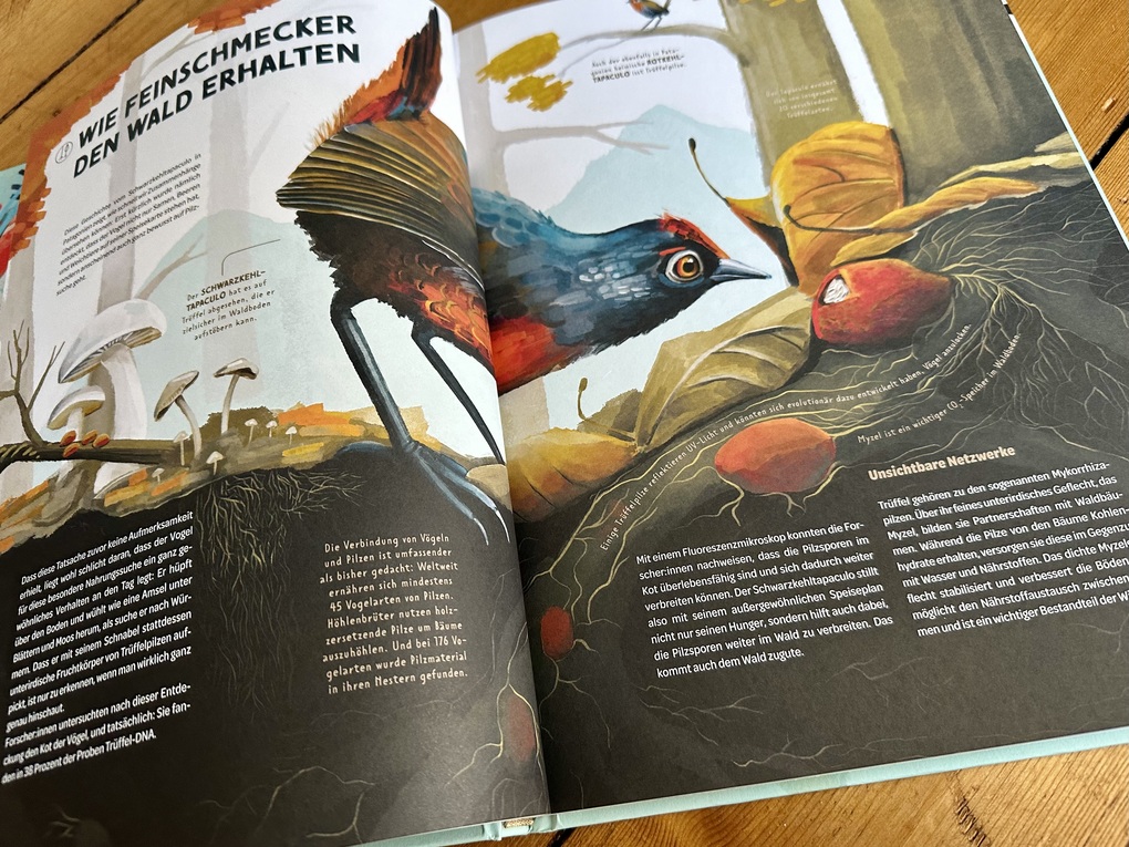 Weitere Ansicht: Die Welt in einer Eierschale | Sarah Heuzeroth