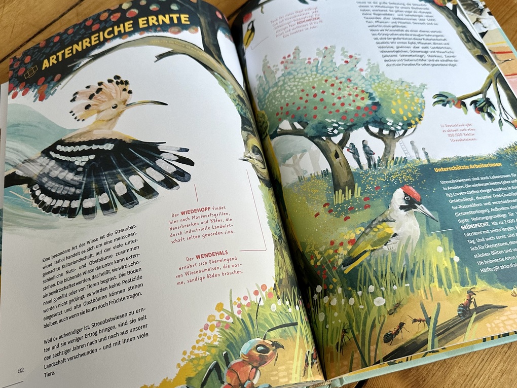 Weitere Ansicht: Die Welt in einer Eierschale | Sarah Heuzeroth