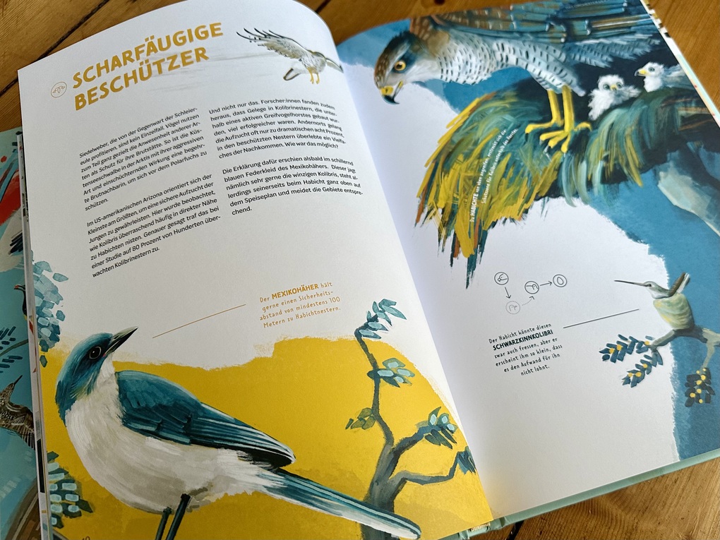 Weitere Ansicht: Die Welt in einer Eierschale | Sarah Heuzeroth