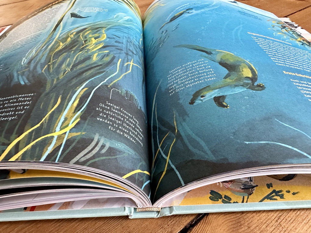 Weitere Ansicht: Die Welt in einer Eierschale | Sarah Heuzeroth