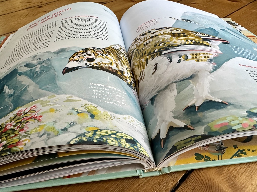 Weitere Ansicht: Die Welt in einer Eierschale | Sarah Heuzeroth