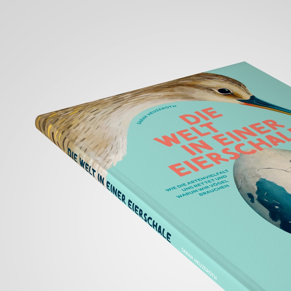 Weitere Ansicht: Die Welt in einer Eierschale | Sarah Heuzeroth