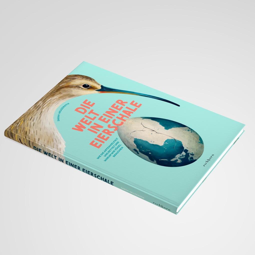 Weitere Ansicht: Die Welt in einer Eierschale | Sarah Heuzeroth