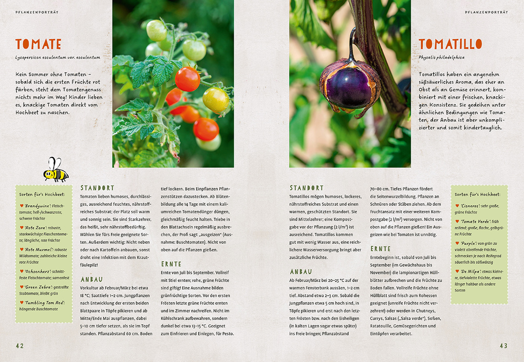 Weitere Ansicht: Mein Ketchup wächst im Hochbeet | Renate Hudak, Harald Harazim