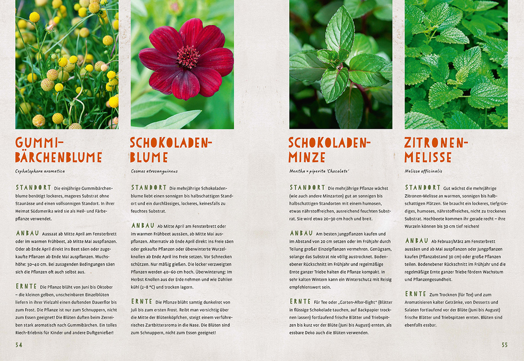 Weitere Ansicht: Mein Ketchup wächst im Hochbeet | Renate Hudak, Harald Harazim