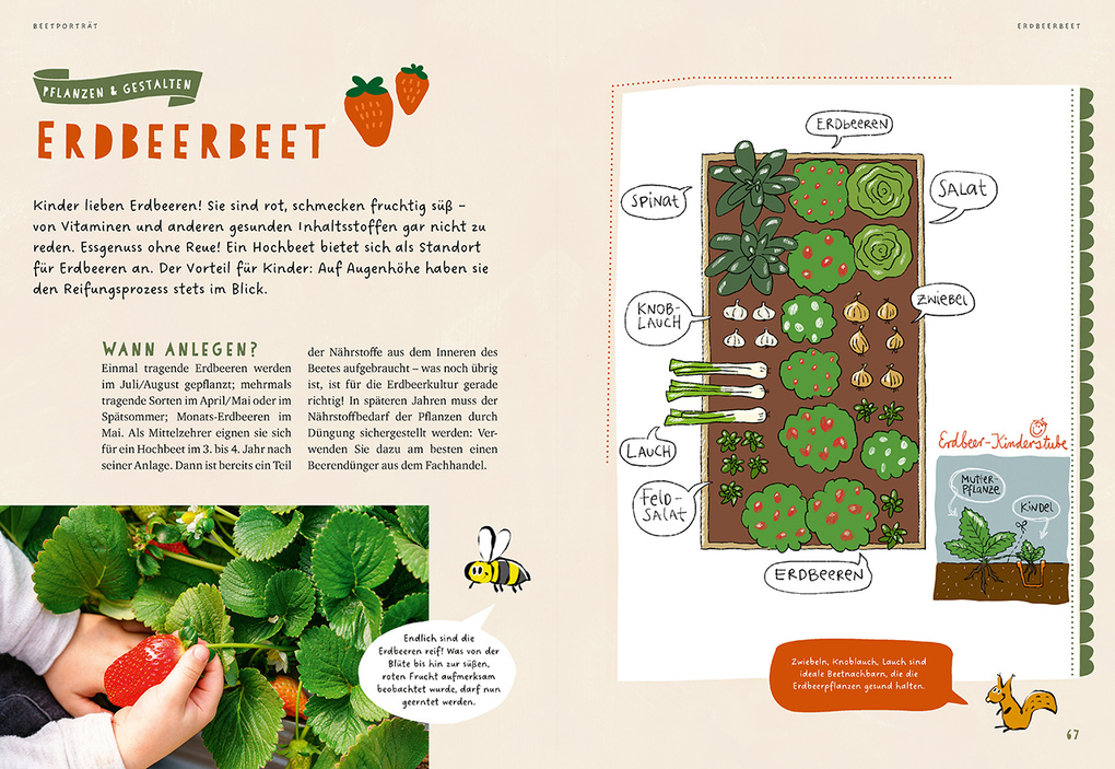 Weitere Ansicht: Mein Ketchup wächst im Hochbeet | Renate Hudak, Harald Harazim