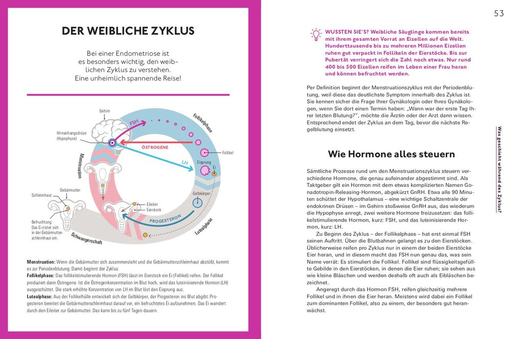 Weitere Ansicht: Let's talk about Endometriose | Stefanie Burghaus, Sigrid März