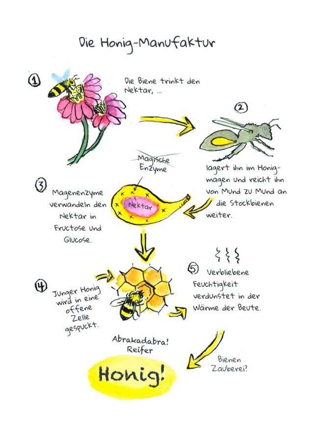 Weitere Ansicht: OMG Bees! | Matt Kracht