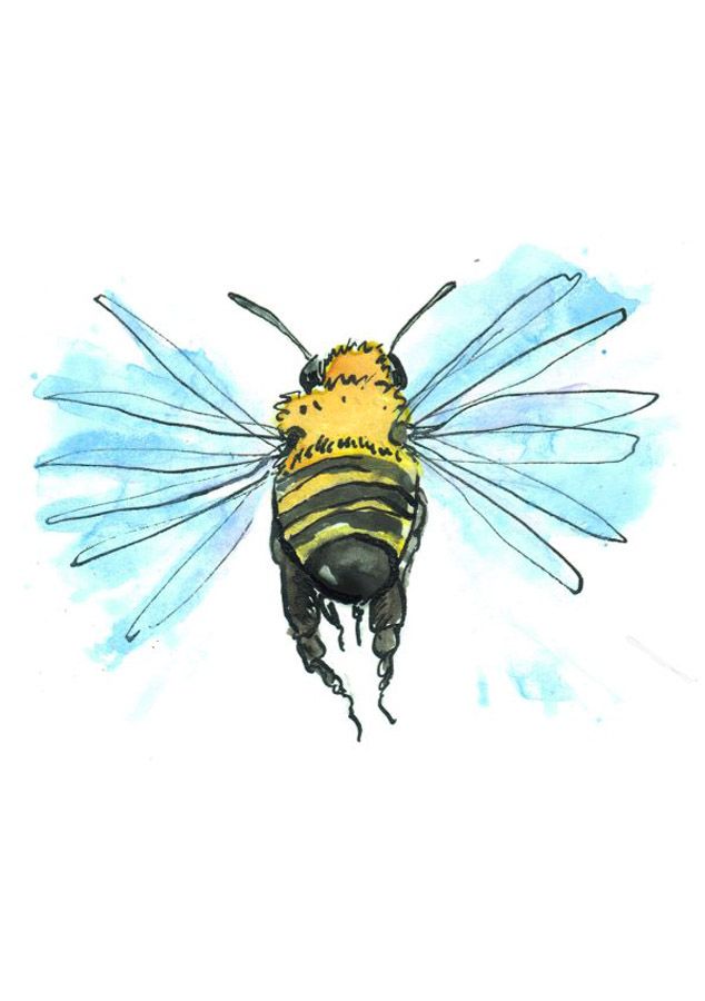 Weitere Ansicht: OMG Bees! | Matt Kracht