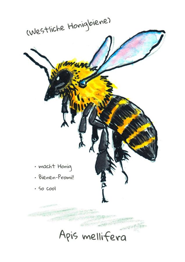 Weitere Ansicht: OMG Bees! | Matt Kracht