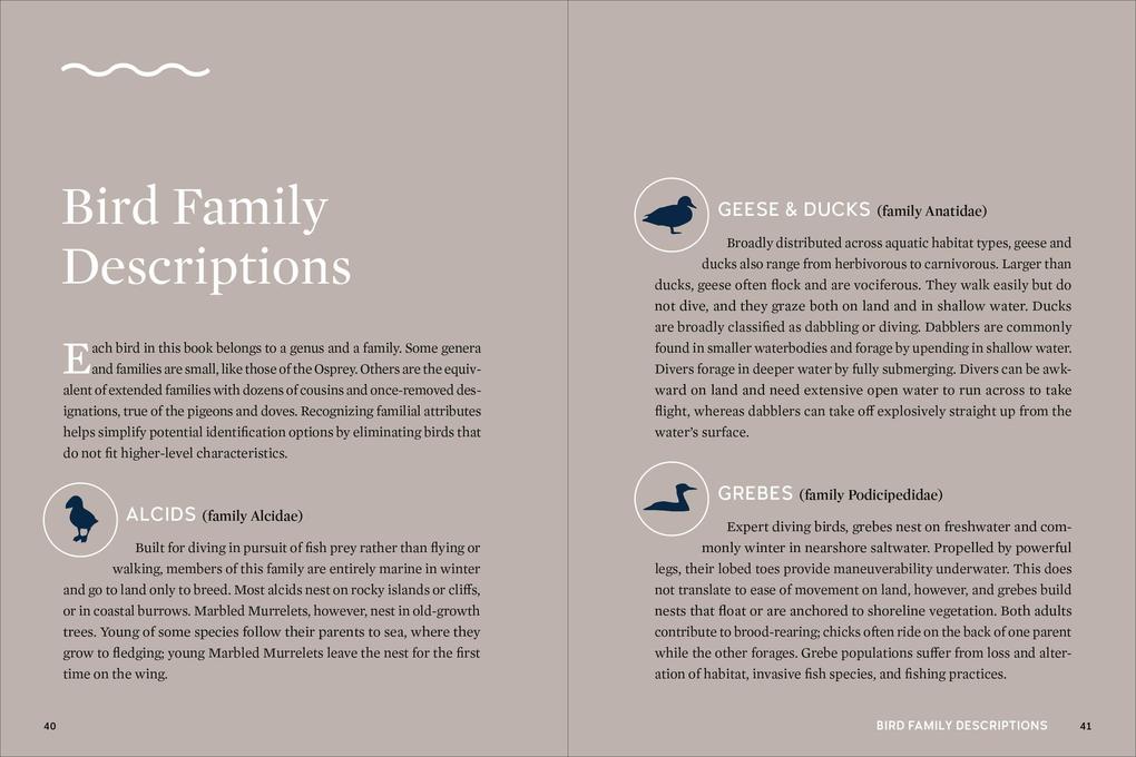 Weitere Ansicht: Best Little Book of Birds Coastal Washington | Tamara Enz