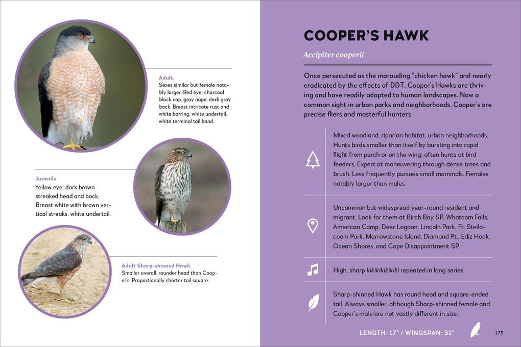 Weitere Ansicht: Best Little Book of Birds Coastal Washington | Tamara Enz