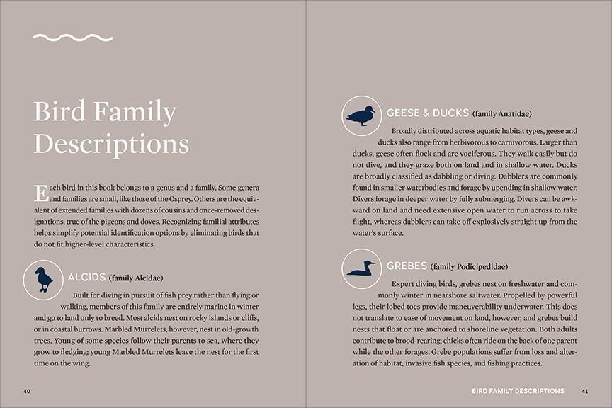 Weitere Ansicht: Best Little Book of Birds Coastal Washington | Tamara Enz