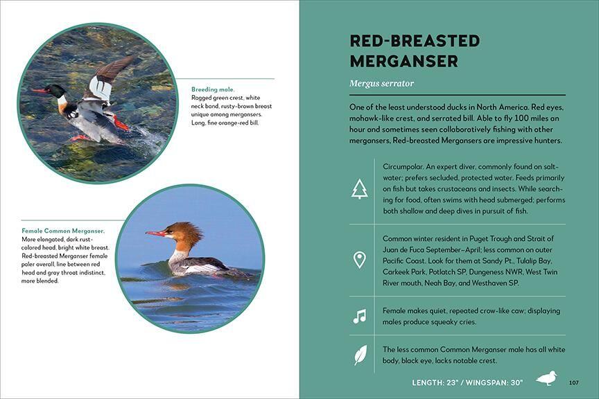Weitere Ansicht: Best Little Book of Birds Coastal Washington | Tamara Enz