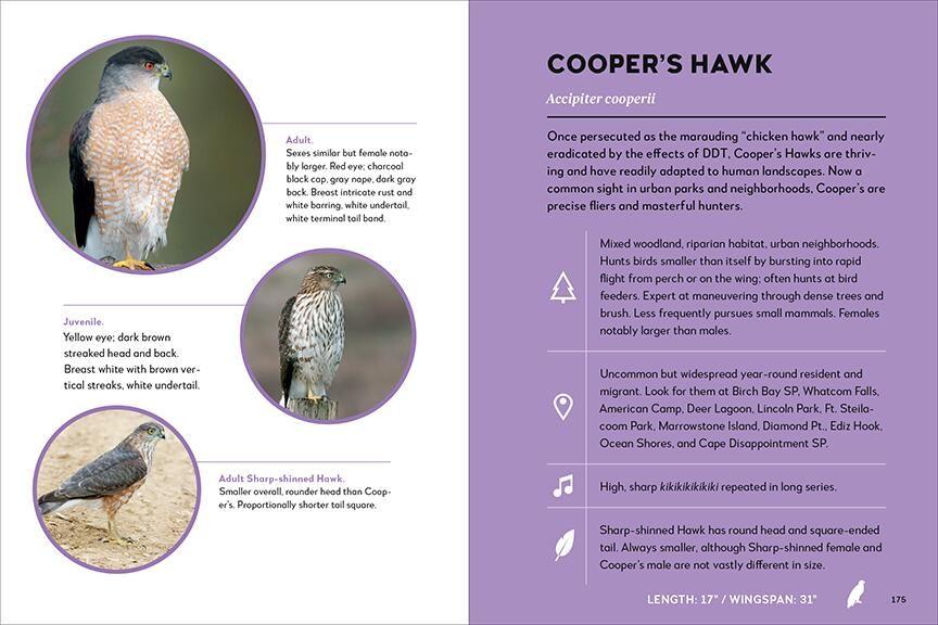 Weitere Ansicht: Best Little Book of Birds Coastal Washington | Tamara Enz