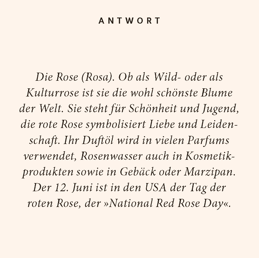 Weitere Ansicht: Blumen-Quiz | Birgit Poppe