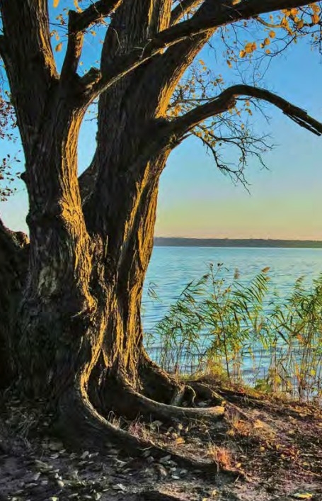 Weitere Ansicht: Die schönsten Seen in Brandenburg | Roswitha Schieb