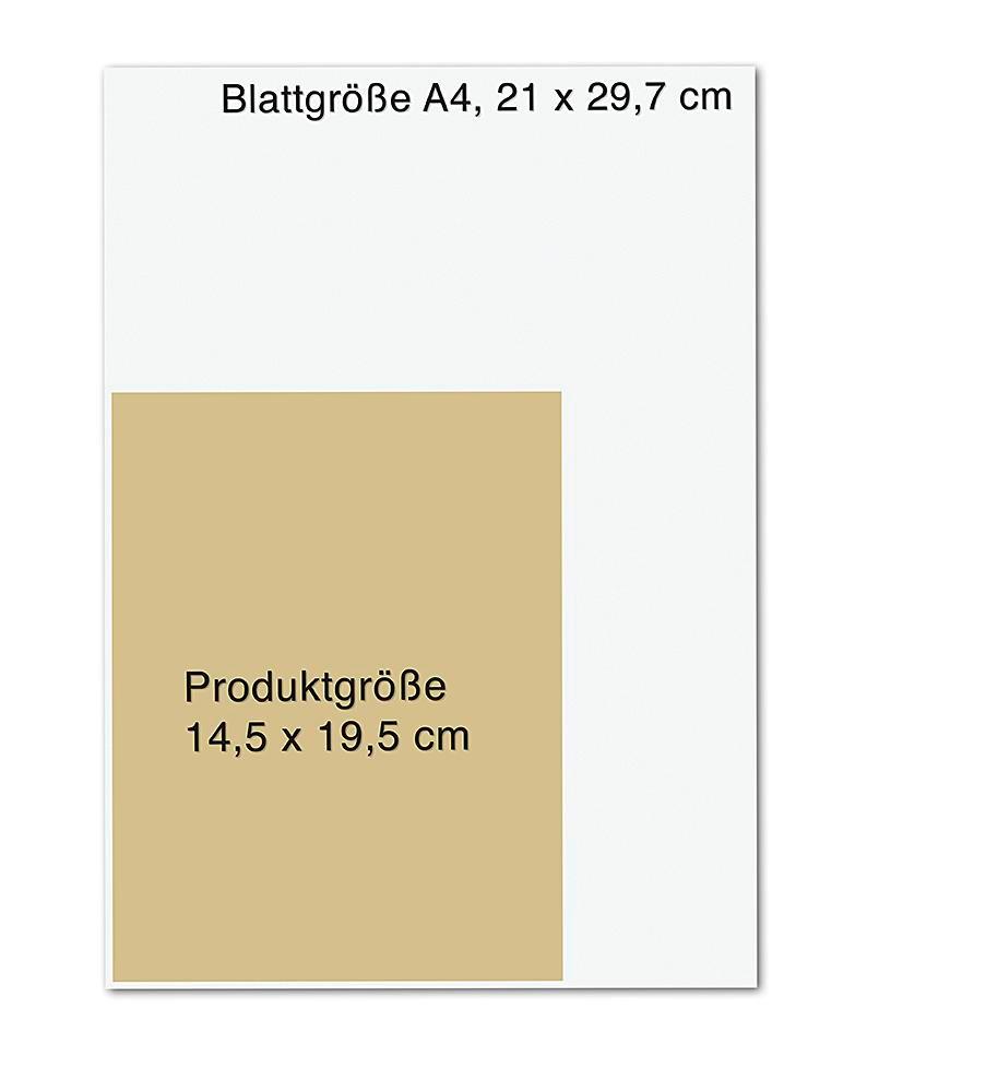 Weitere Ansicht: Modernes Handlesen | Johnny Fincham