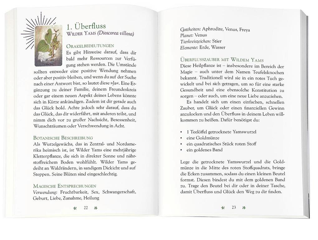 Weitere Ansicht: Das magische Orakel der Heilpflanzen | Cheralyn Darcey