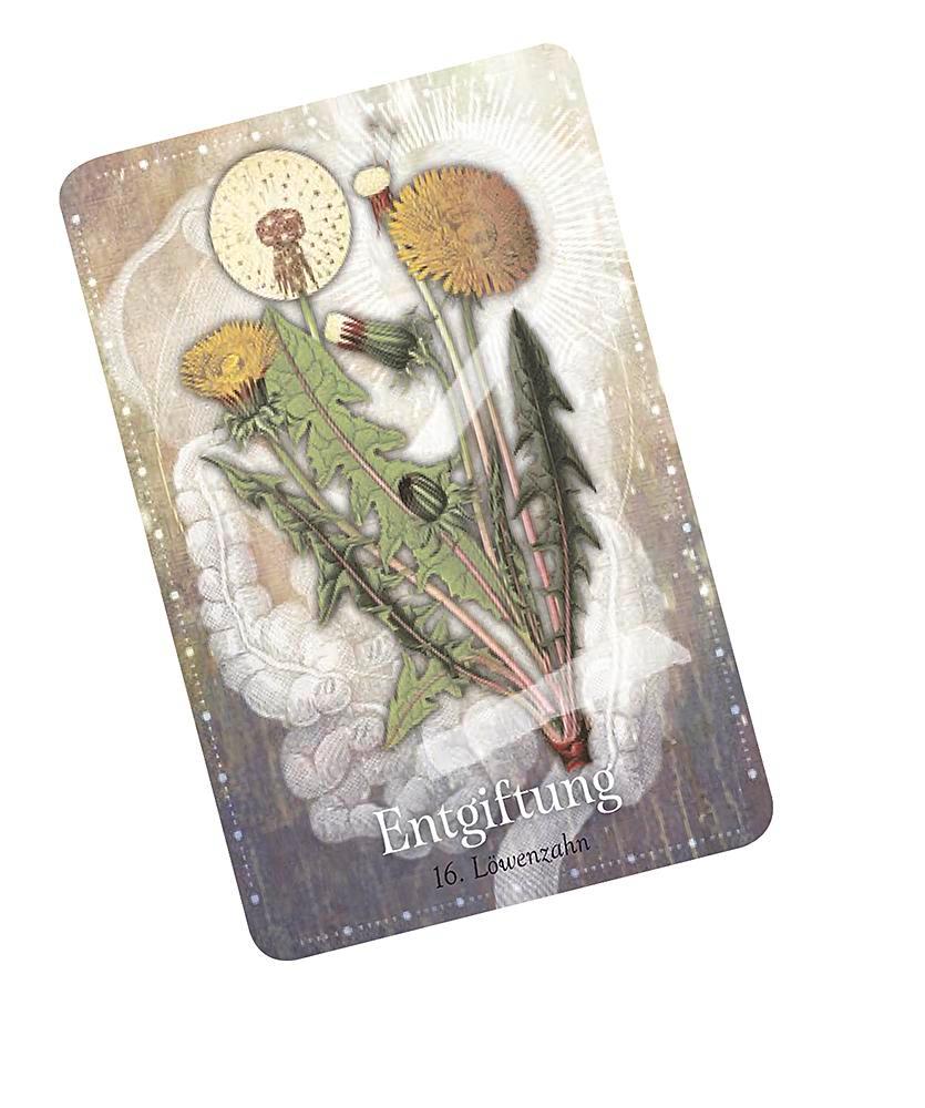 Weitere Ansicht: Das magische Orakel der Heilpflanzen | Cheralyn Darcey