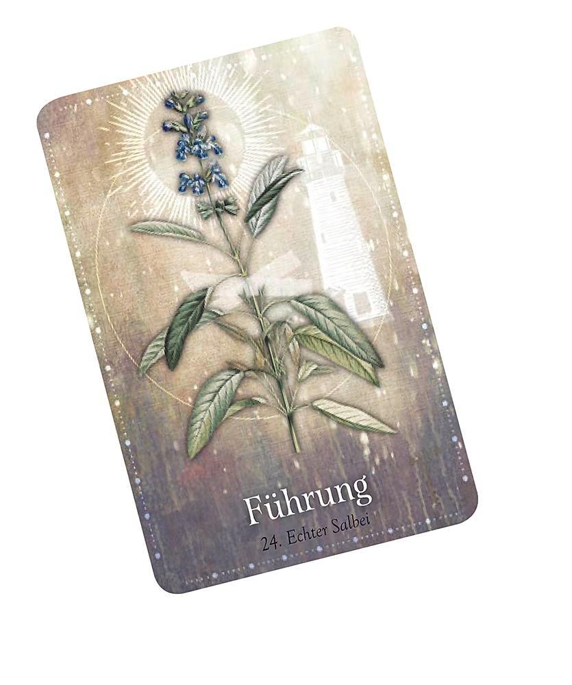 Weitere Ansicht: Das magische Orakel der Heilpflanzen | Cheralyn Darcey