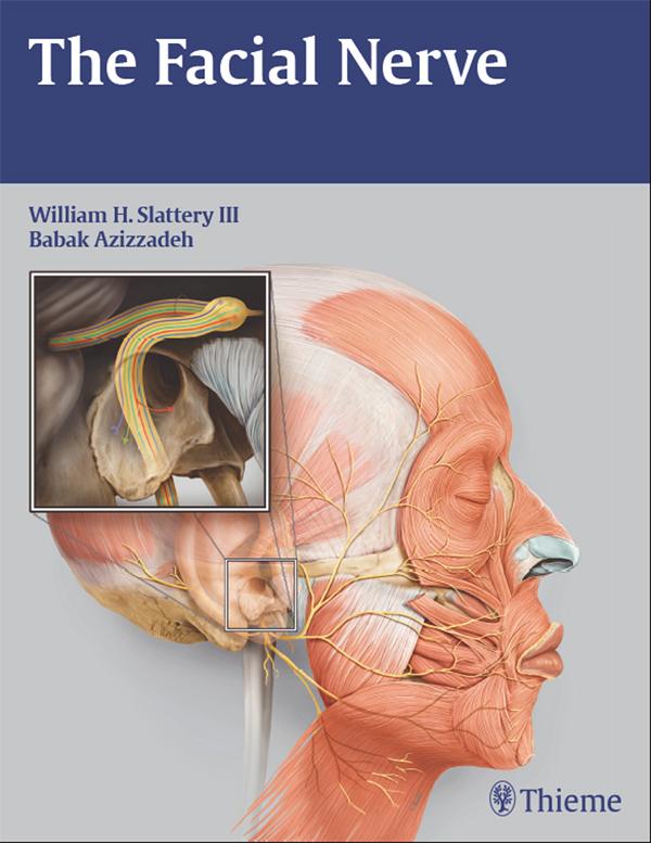 Produktbild: The Facial Nerve