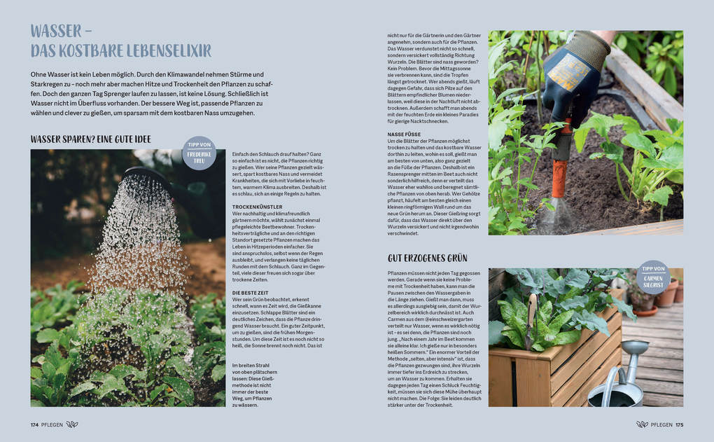 Weitere Ansicht: Morgen grüner | Frederike Treu