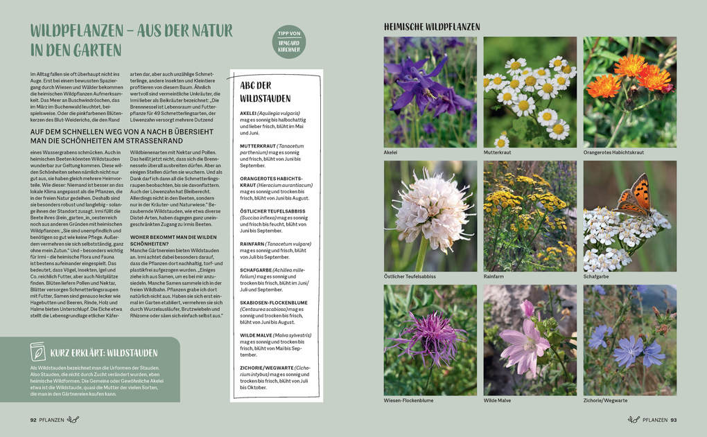 Weitere Ansicht: Morgen grüner | Frederike Treu