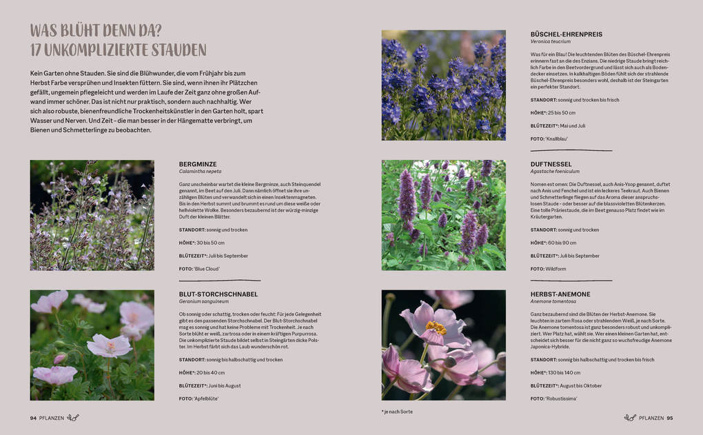 Weitere Ansicht: Morgen grüner | Frederike Treu