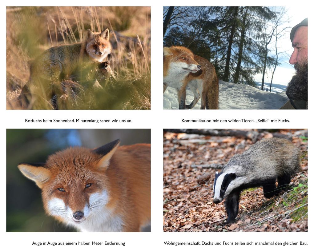 Weitere Ansicht: Der mit den Waldtieren spricht | Wolfgang Schreil, Leo G. Linder